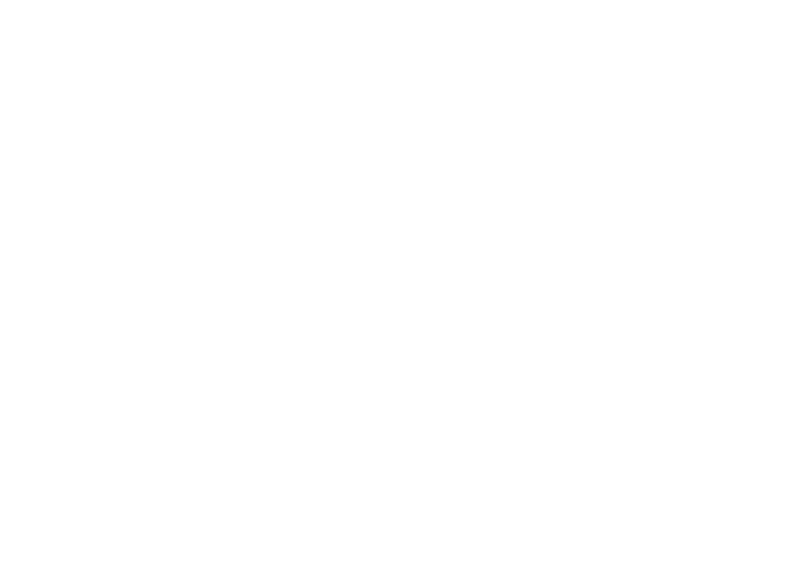 KONG — Monster Solution